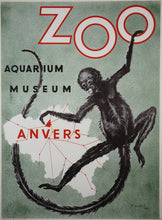 Load image into Gallery viewer, Antwerp Zoo Monkey