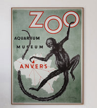 Load image into Gallery viewer, Antwerp Zoo Monkey