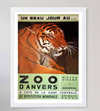 Load image into Gallery viewer, Antwerp Zoo Tiger