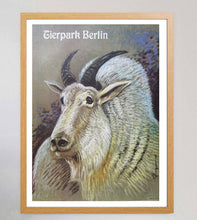 Load image into Gallery viewer, Berlin Tierpark Zoo - Mountain Goat