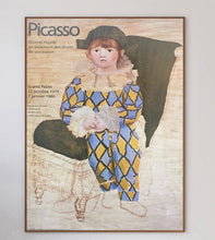 Load image into Gallery viewer, Pablo Picasso - Grand Palais