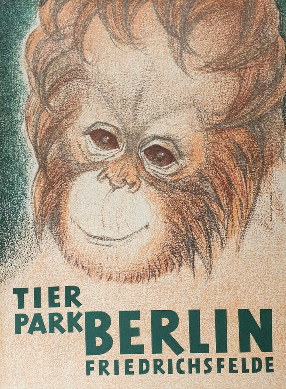 Berlin Tierpark Zoo Friedrichsfelde
